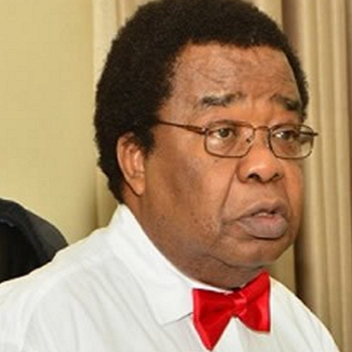 Professor Bolaji Akinyemi