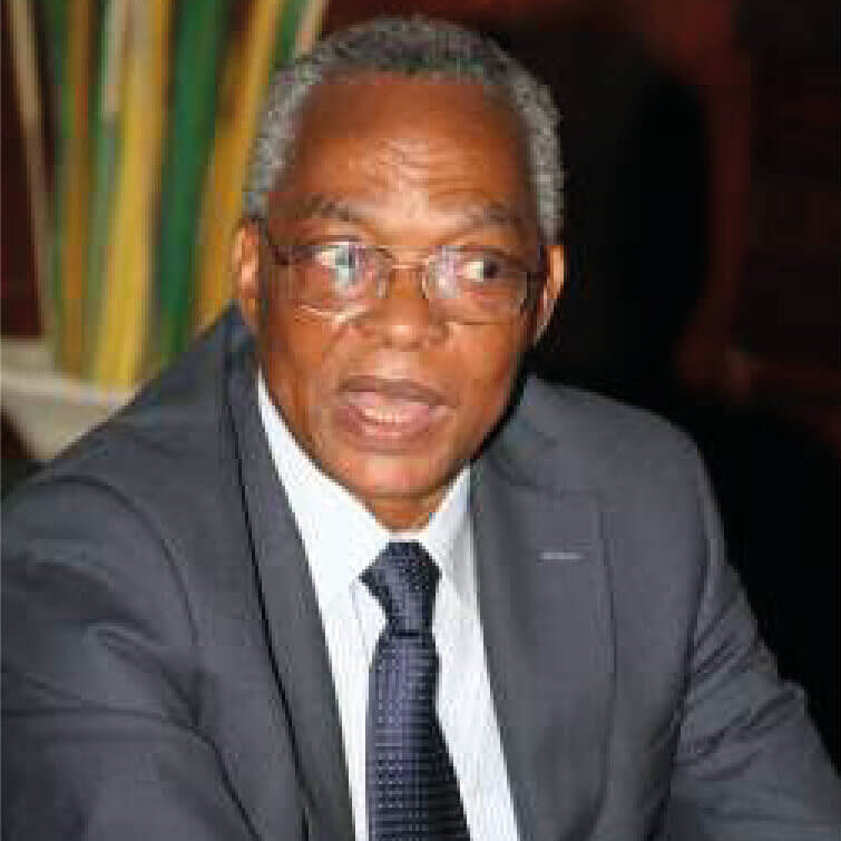 Emeritus Professor Akinjide Osuntokun, OON