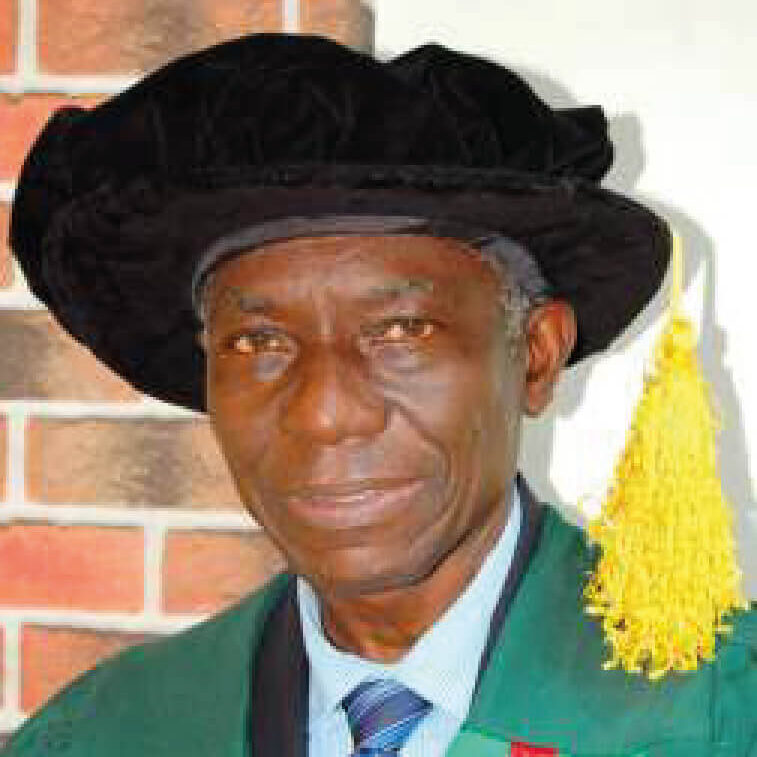 Professor Adesola Ogunniyi